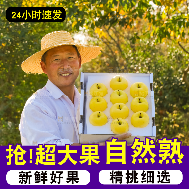 手里拿着黄元帅苹果