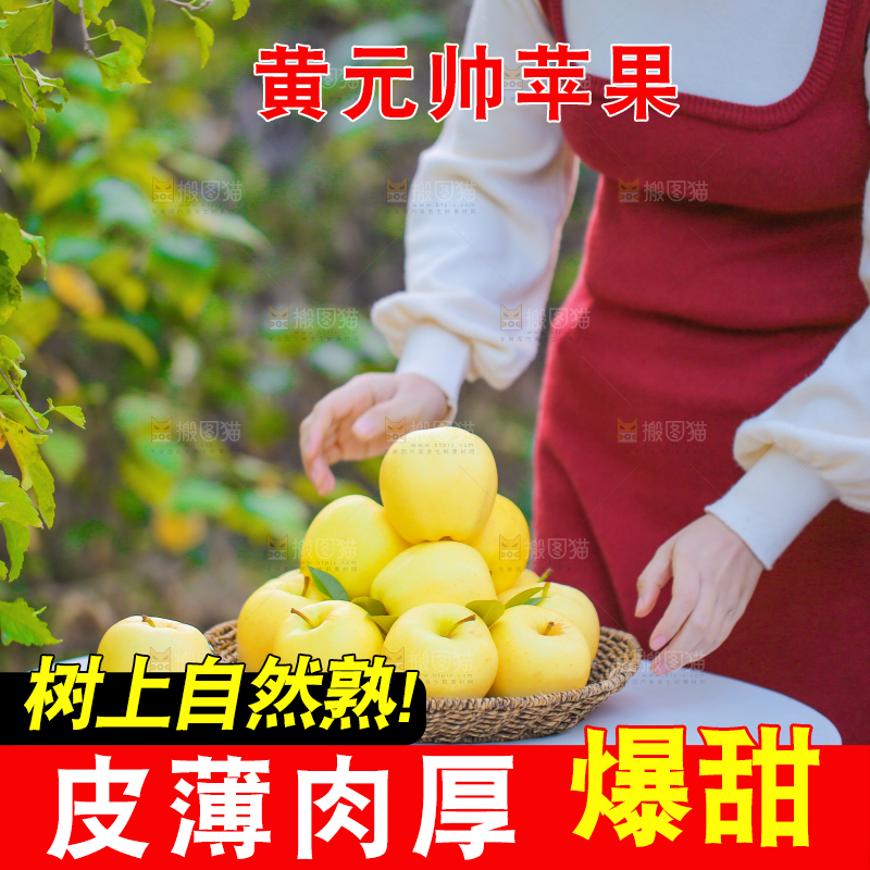 手里拿着黄元帅苹果