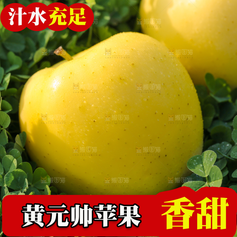 手里拿着黄元帅苹果