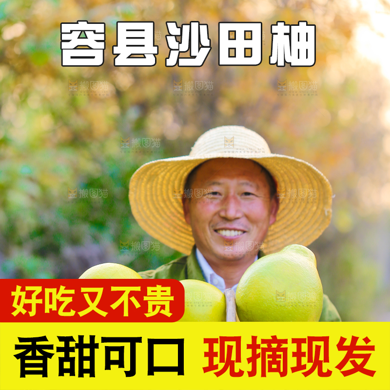手里拿着沙田柚