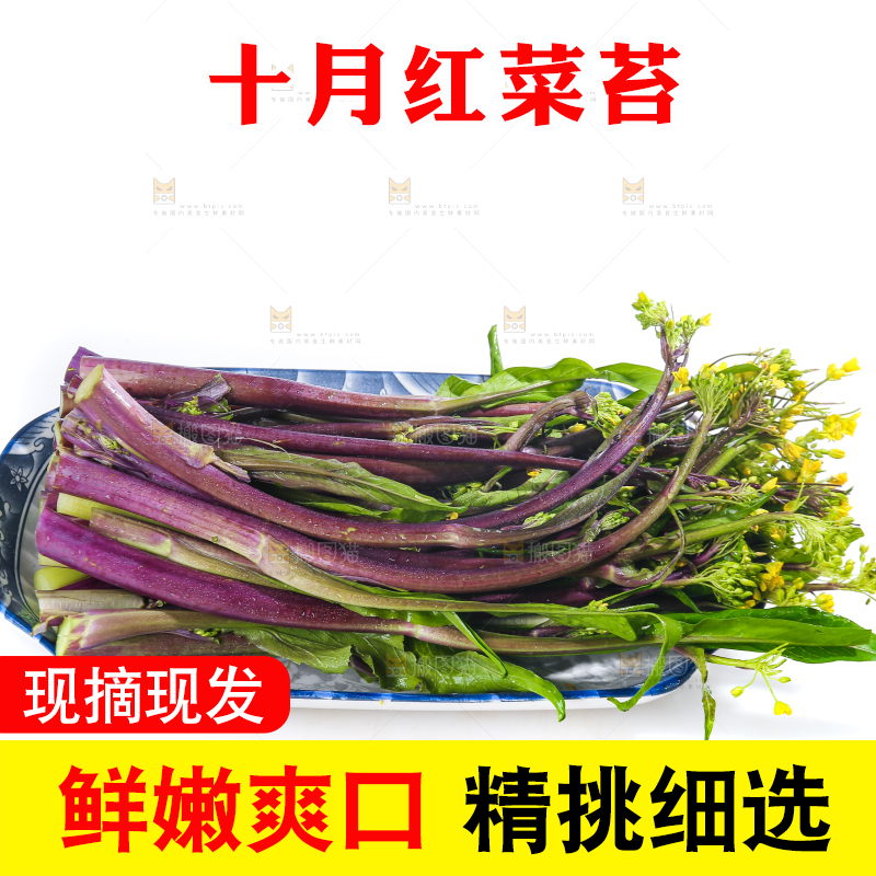 白底上的红菜苔