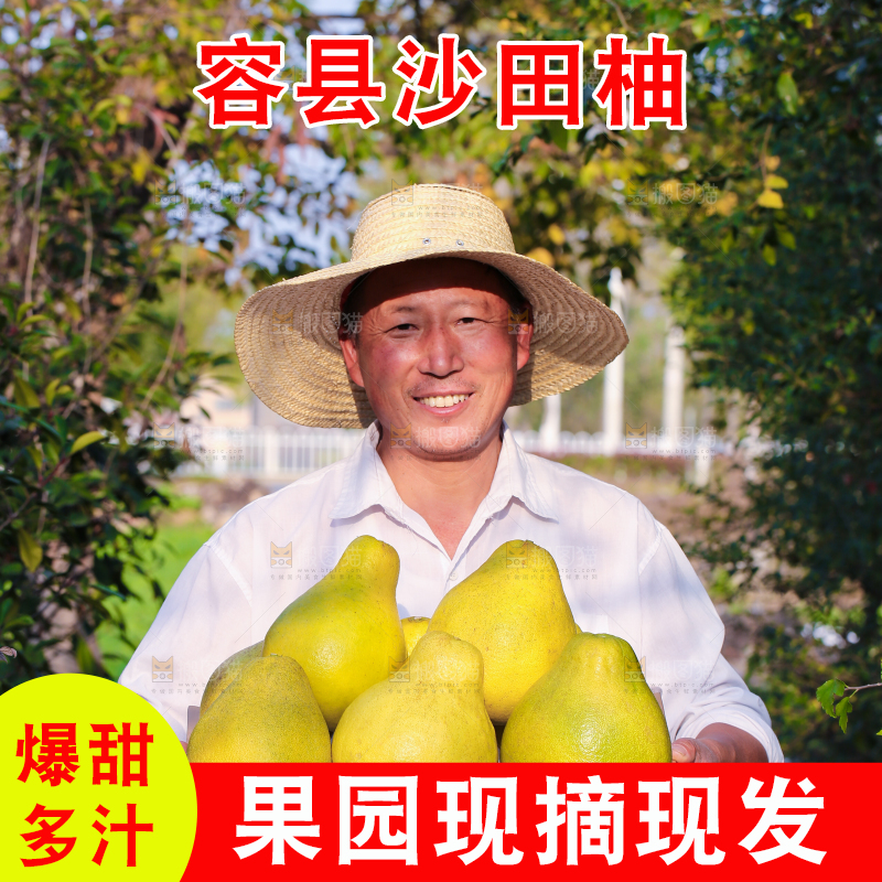 手里拿着沙田柚