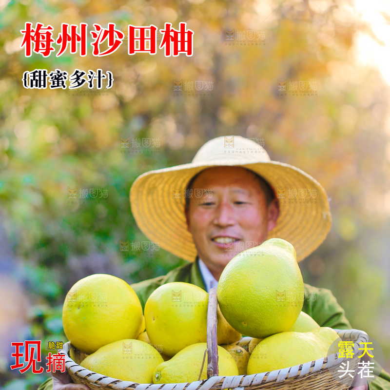 手里拿着沙田柚