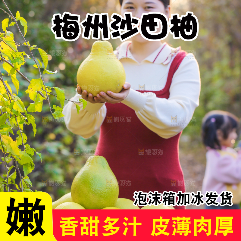 手里拿着沙田柚