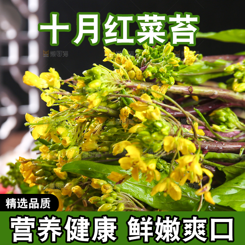 深底上的红菜苔