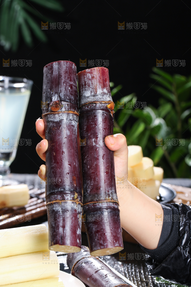 深底上的黑皮甘蔗