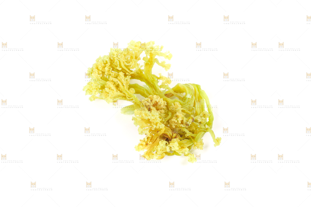 白底上的干花菜