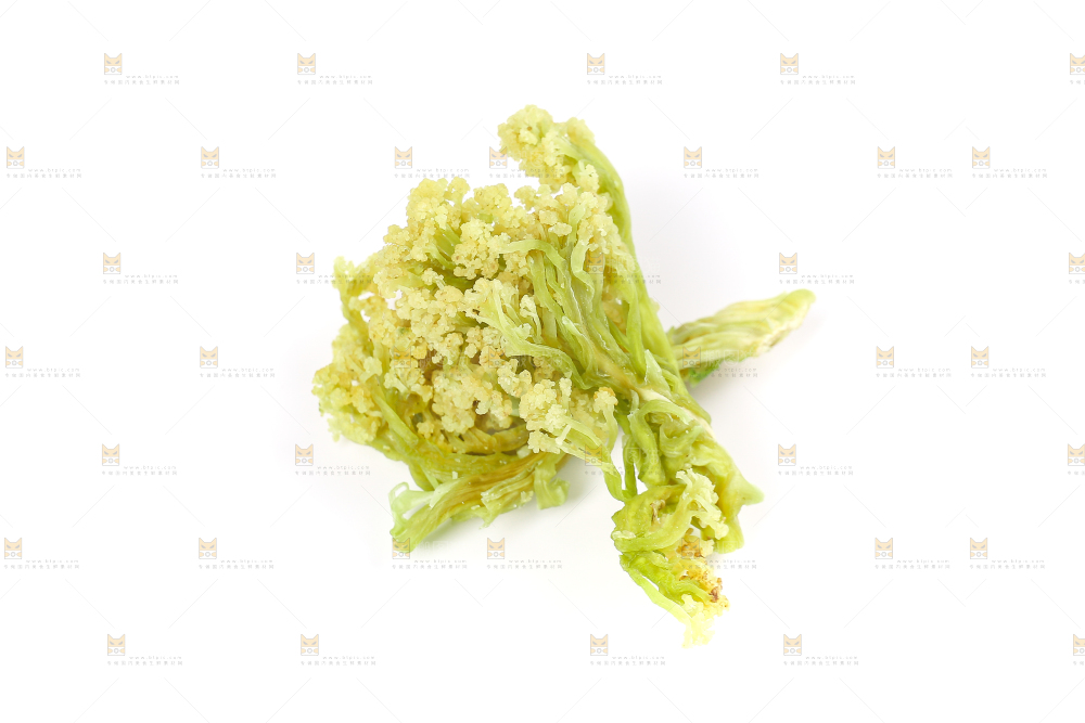 白底上的干花菜
