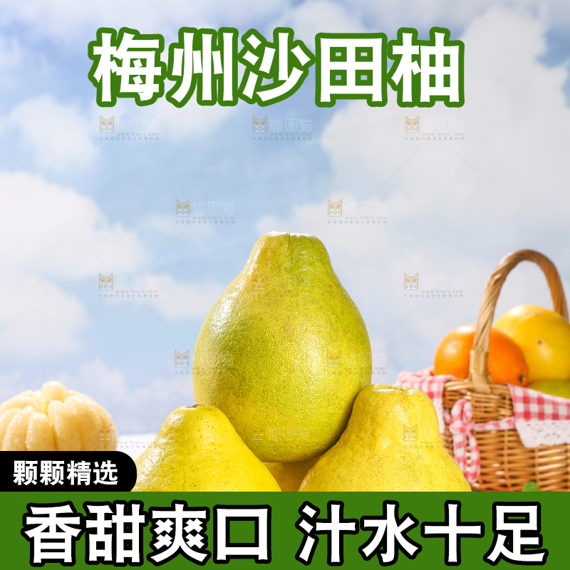 浅底上的沙田柚