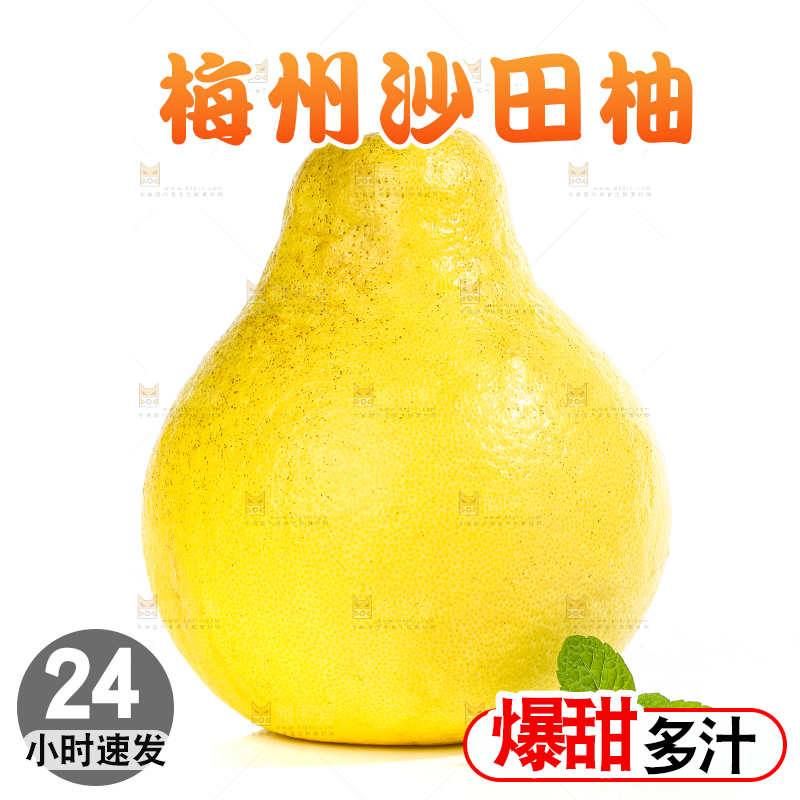 白底上的沙田柚