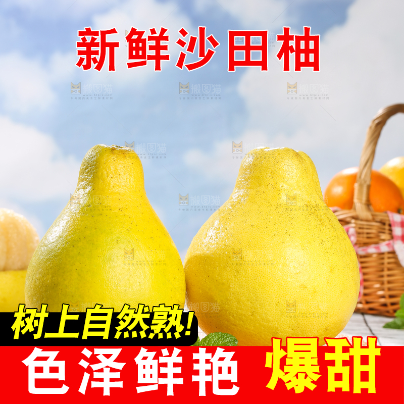 浅底上的沙田柚