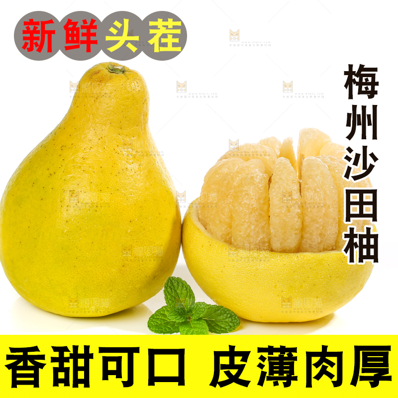 白底上的沙田柚