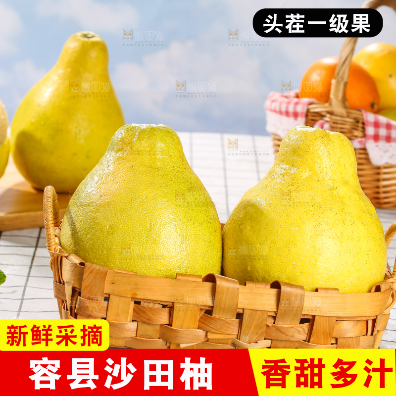 浅底上的沙田柚