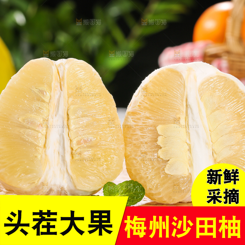 浅底上的沙田柚