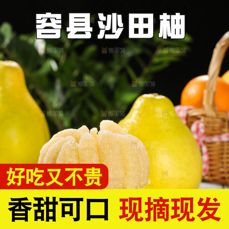 浅底上的沙田柚