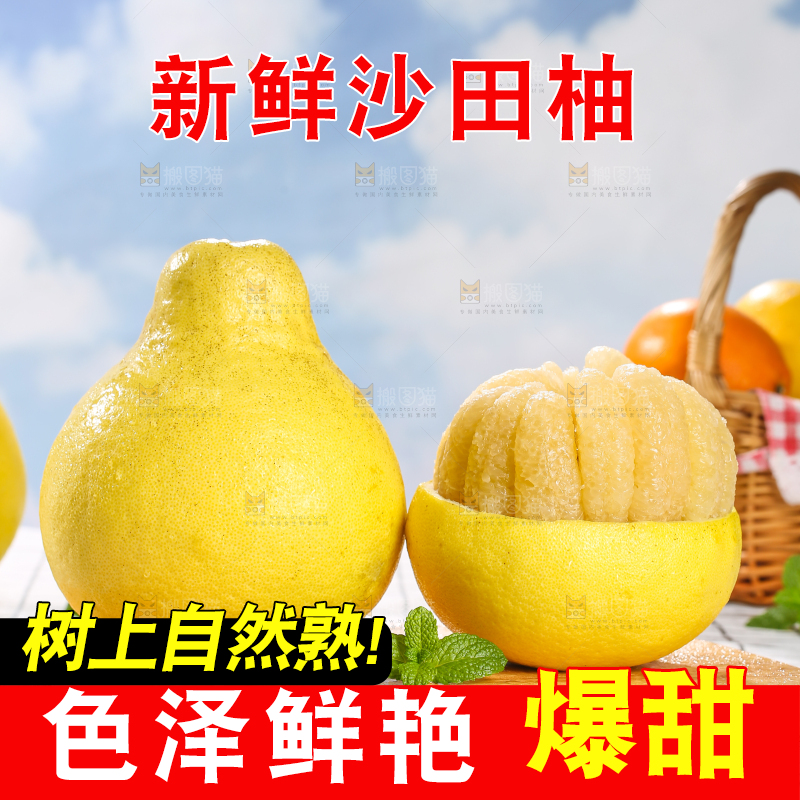 浅底上的沙田柚