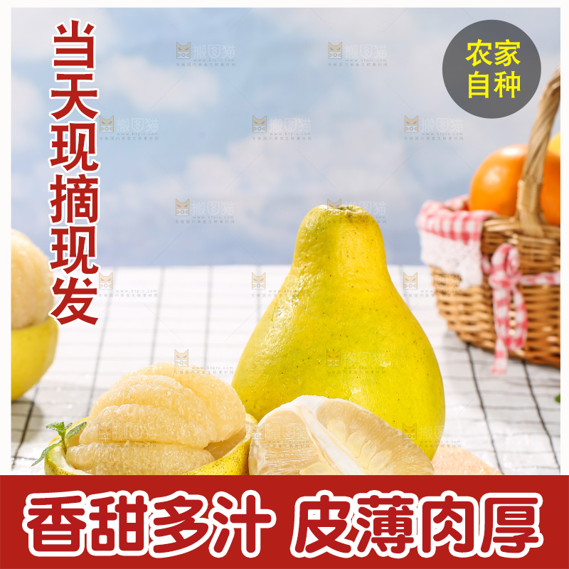 浅底上的沙田柚