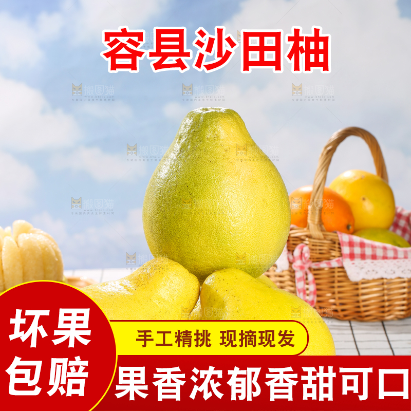 浅底上的沙田柚