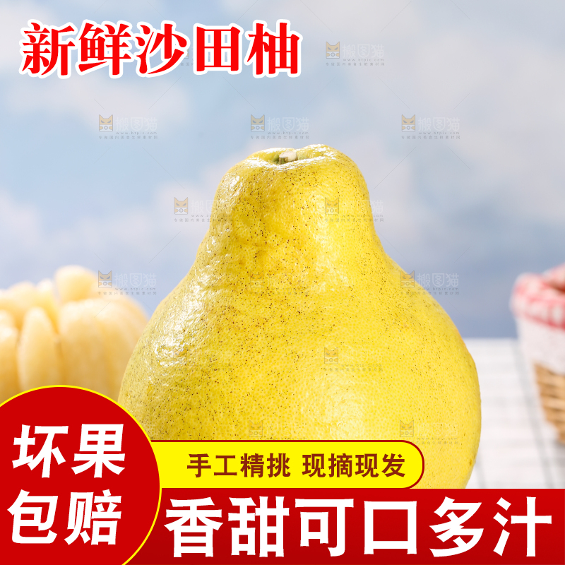 浅底上的沙田柚