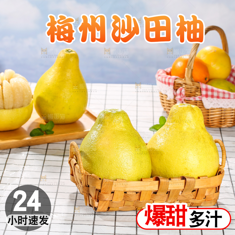 浅底上的沙田柚