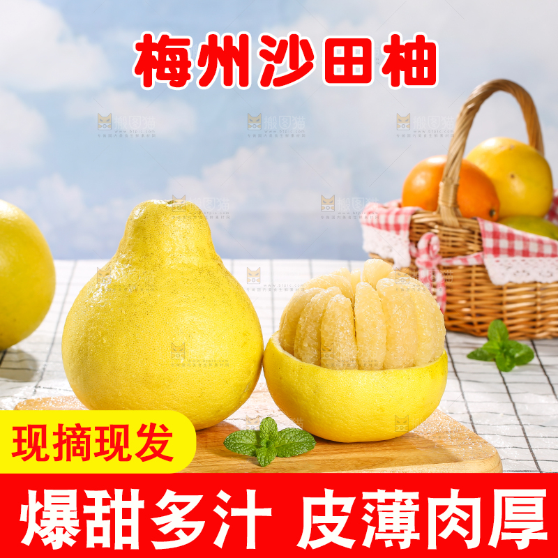 浅底上的沙田柚