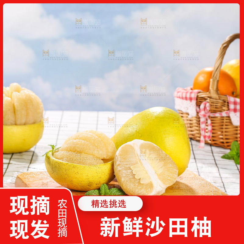 浅底上的沙田柚