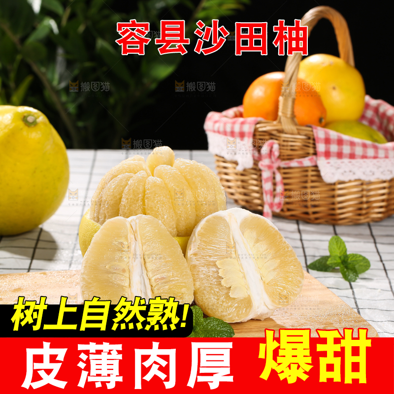 浅底上的沙田柚