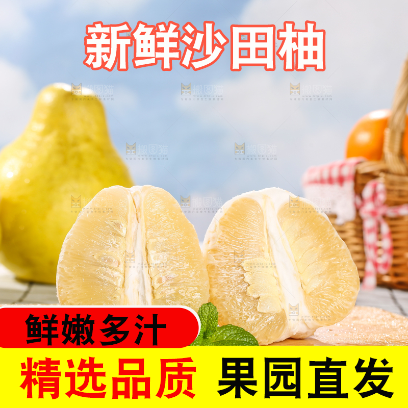 浅底上的沙田柚