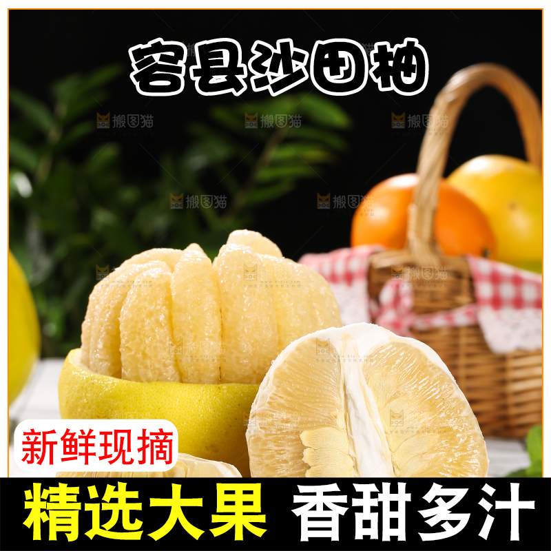 浅底上的沙田柚