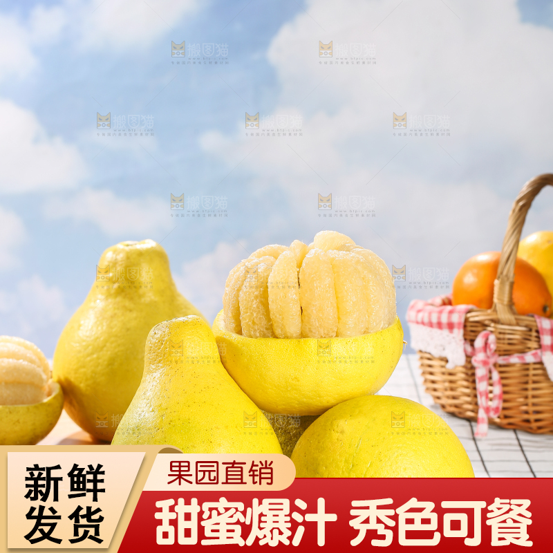 浅底上的沙田柚