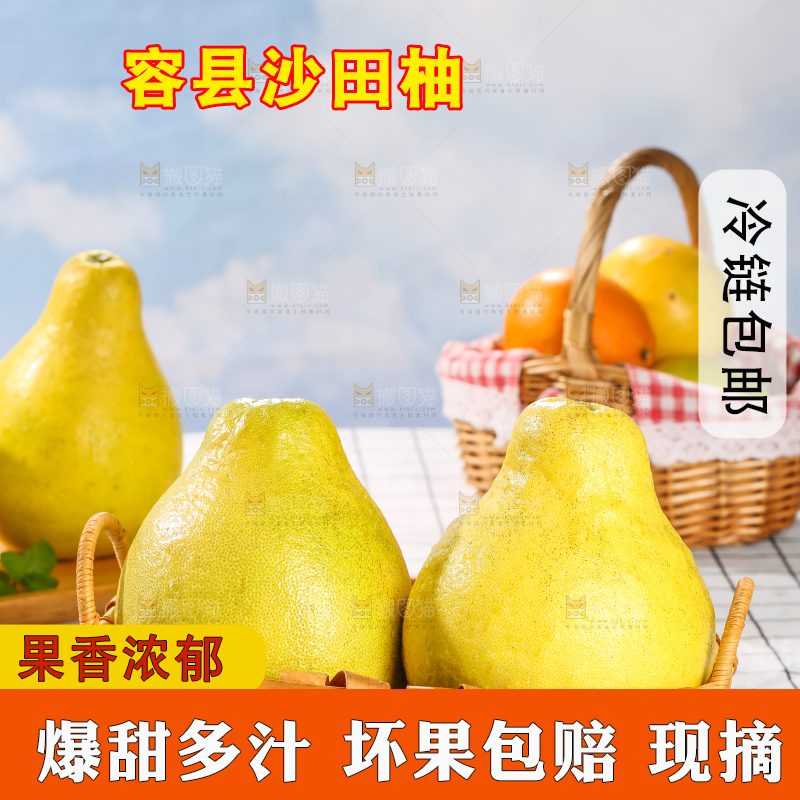 浅底上的沙田柚