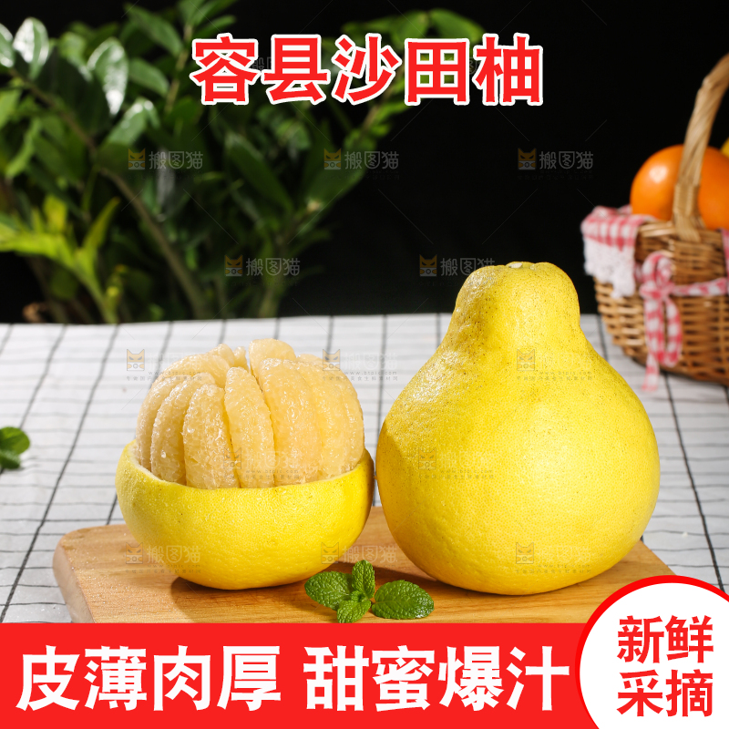 浅底上的沙田柚