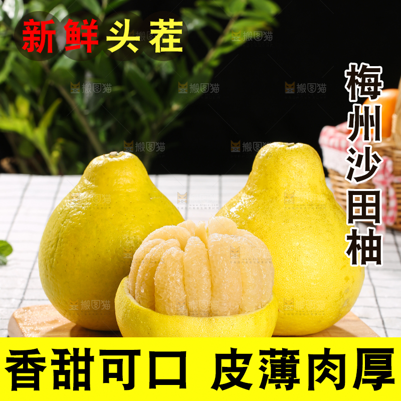浅底上的沙田柚