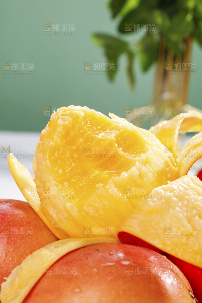黄金澳芒