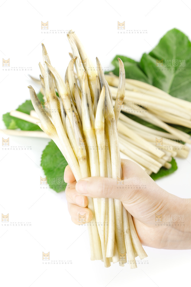 白底上的新鲜藕带