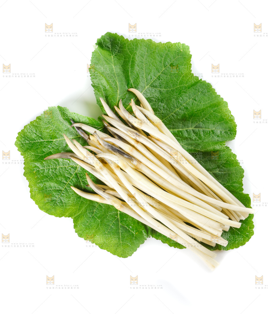 白底上的新鲜藕带