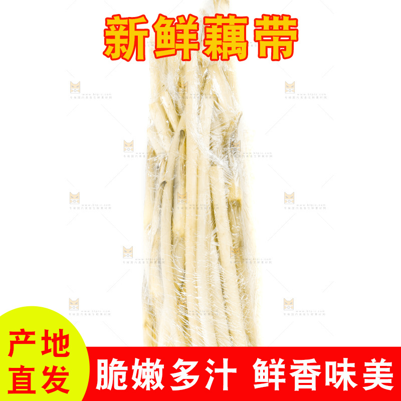 白底上的新鲜藕带