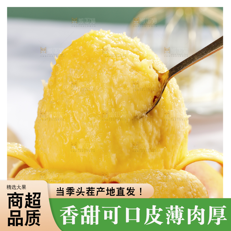 浅底上的澳芒