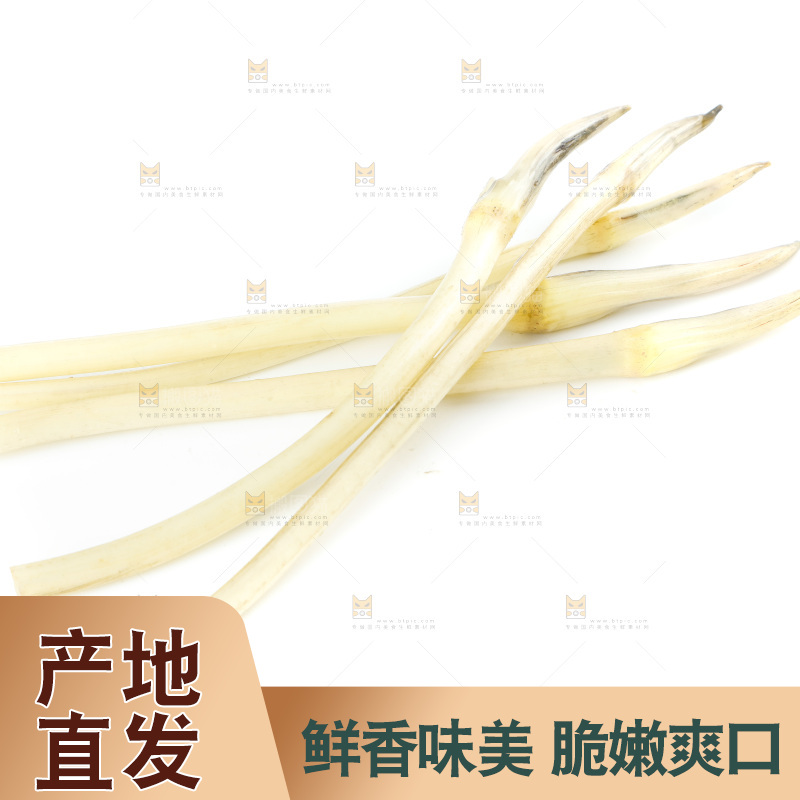 白底上的新鲜藕带
