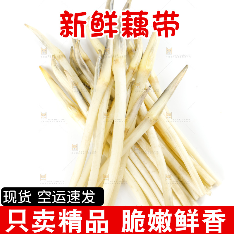 白底上的新鲜藕带