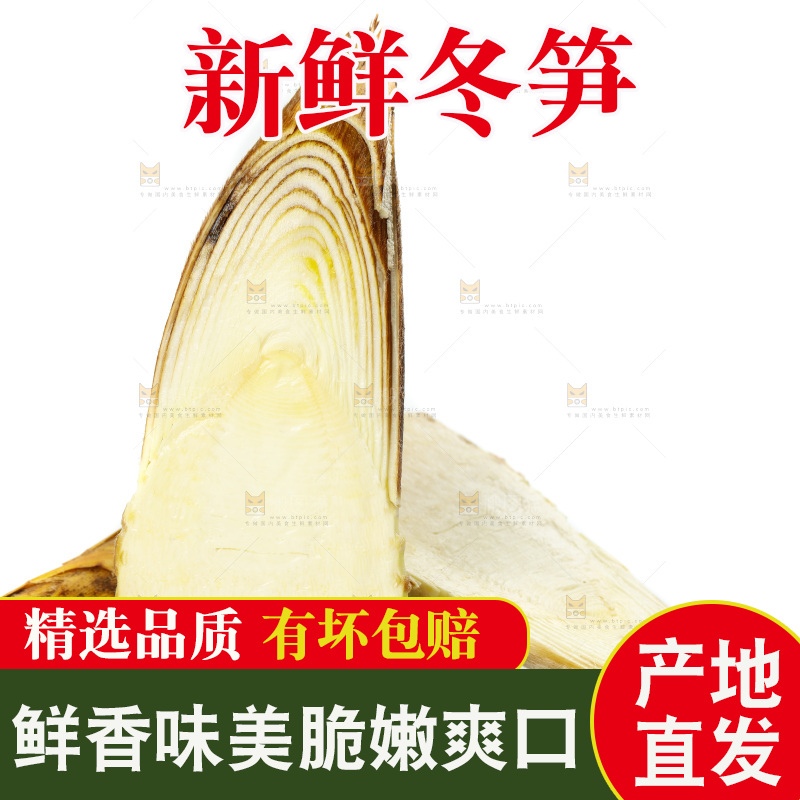 白底上的新鲜冬笋