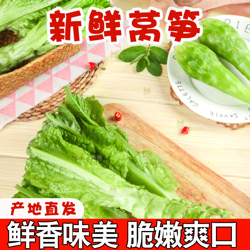 浅底上的莴笋