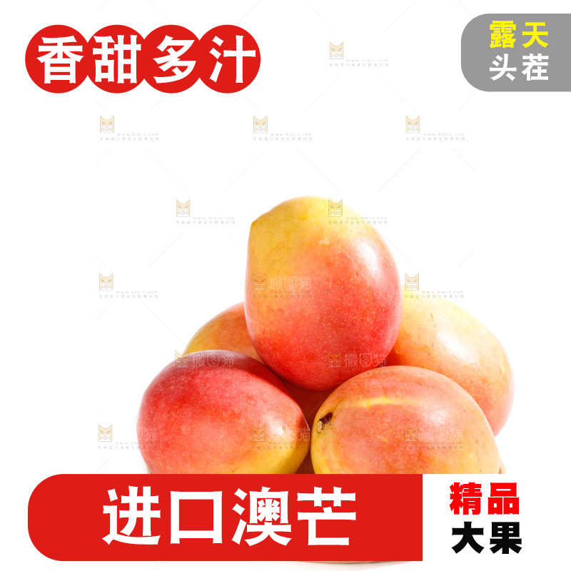 白底上的澳芒
