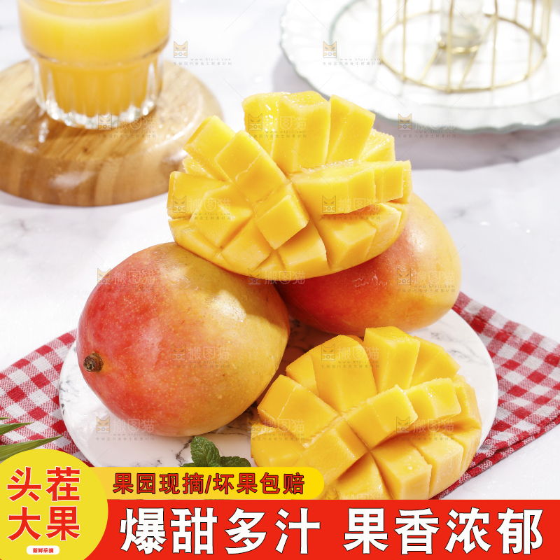浅底上的澳芒