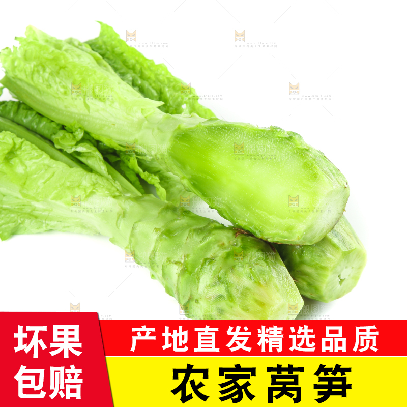 白底上的新鲜莴笋