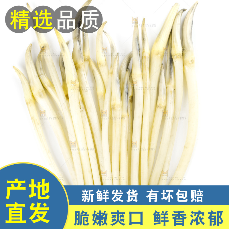 白底上的新鲜藕带