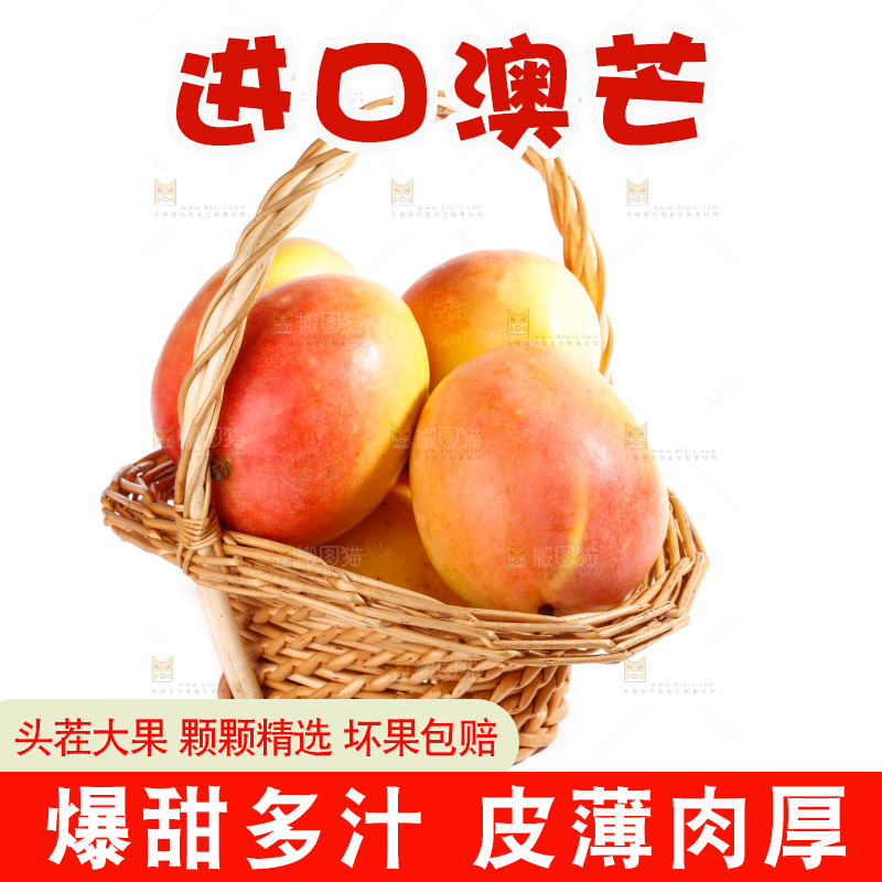白底上的澳芒