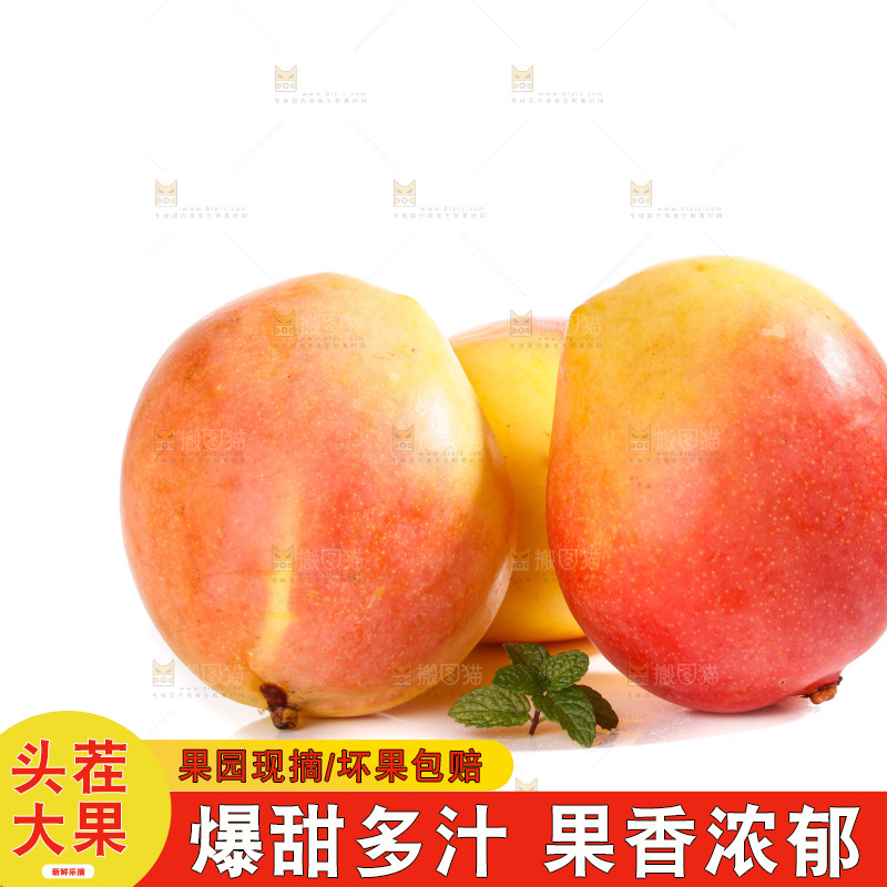 白底上的澳芒