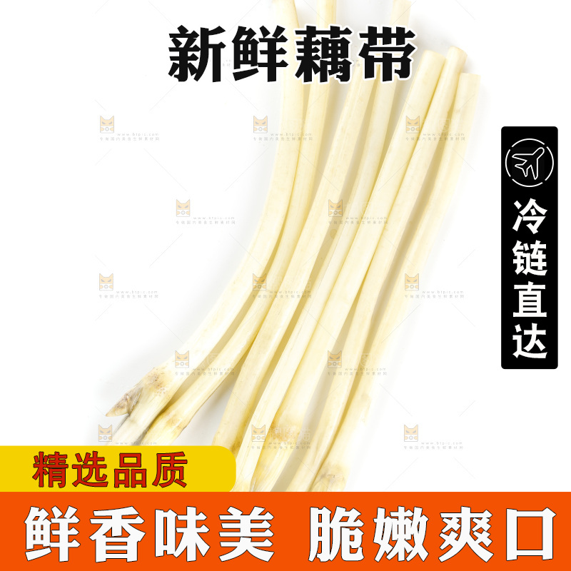 白底上的新鲜藕带