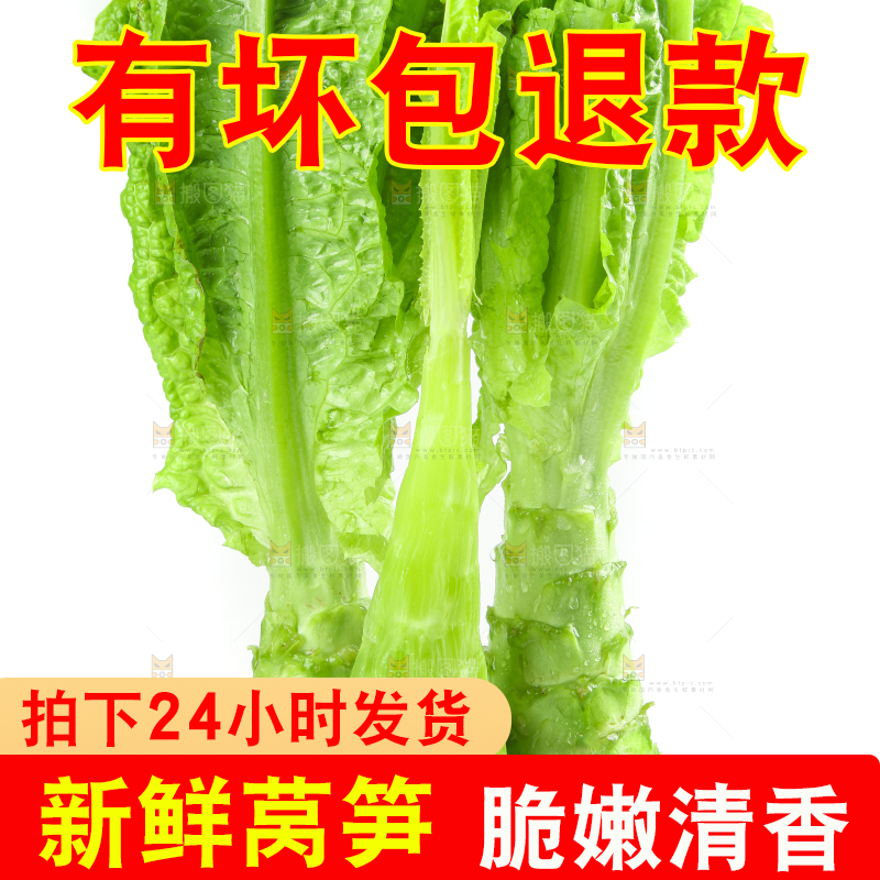 白底上的新鲜莴笋